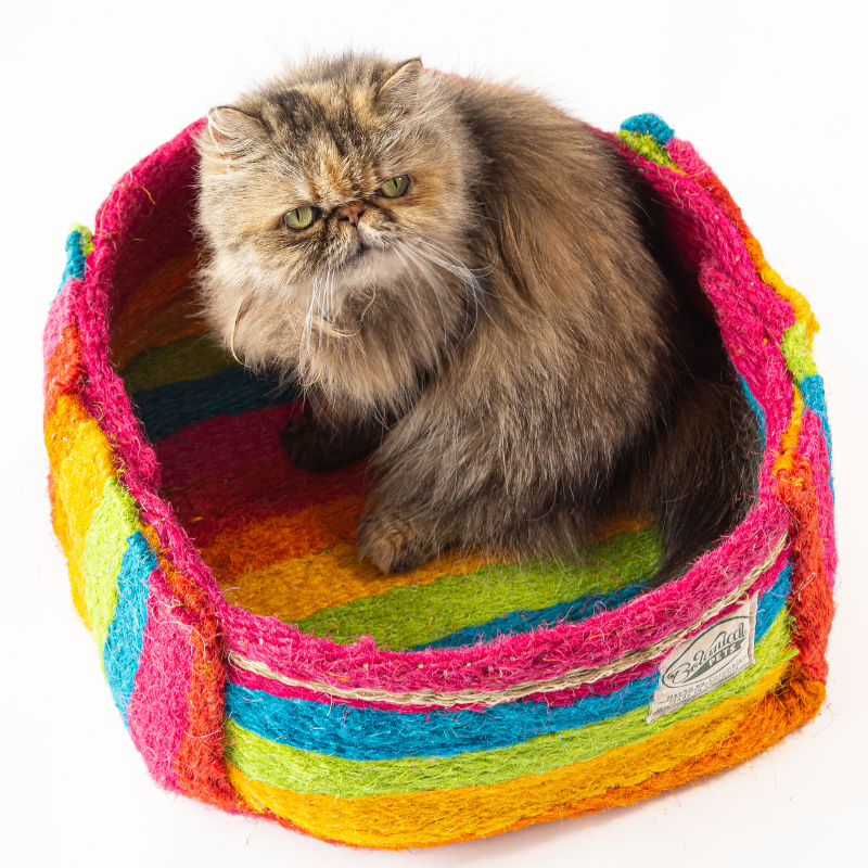 Bolsita encantadora Arcoíris 🌈