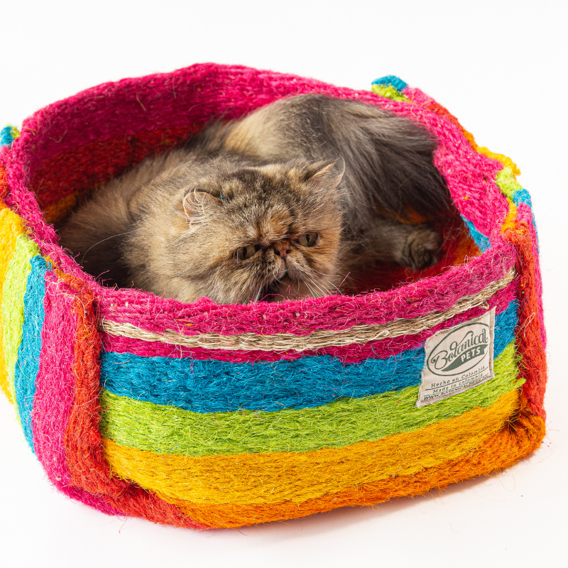 Bolsita encantadora Arcoíris 🌈
