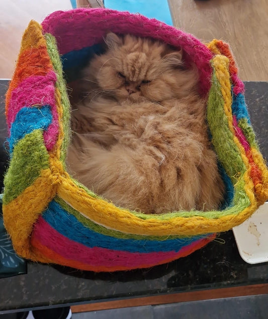 Bolsita encantadora Arcoíris 🌈