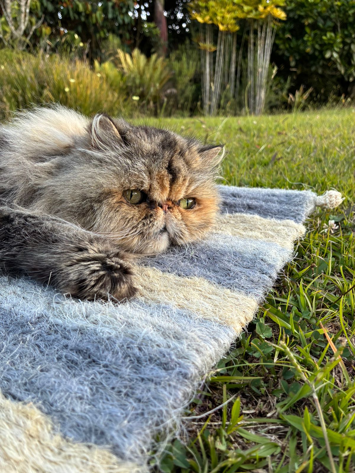 [NUEVA] Felpuda encantadora Gray pequeña 🩶