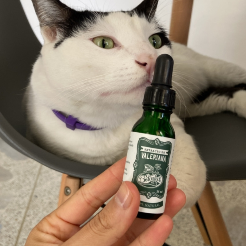 Gotas naturales de Valeriana