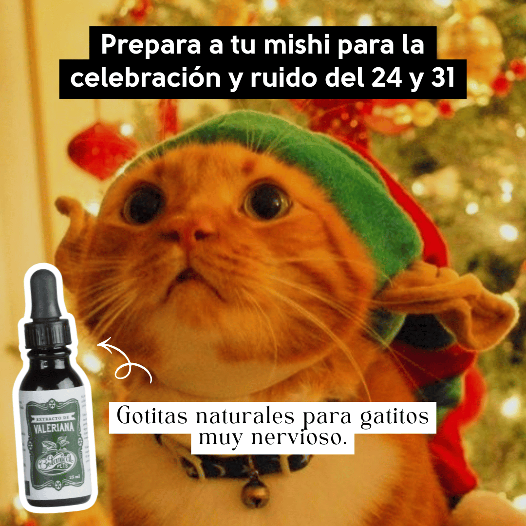 Gotas naturales de Valeriana