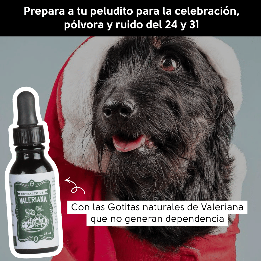 Gotas naturales de Valeriana