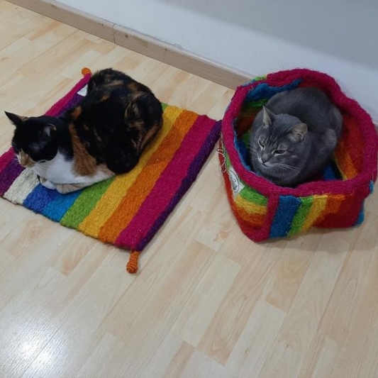 Bolsita encantadora Arcoíris 🌈