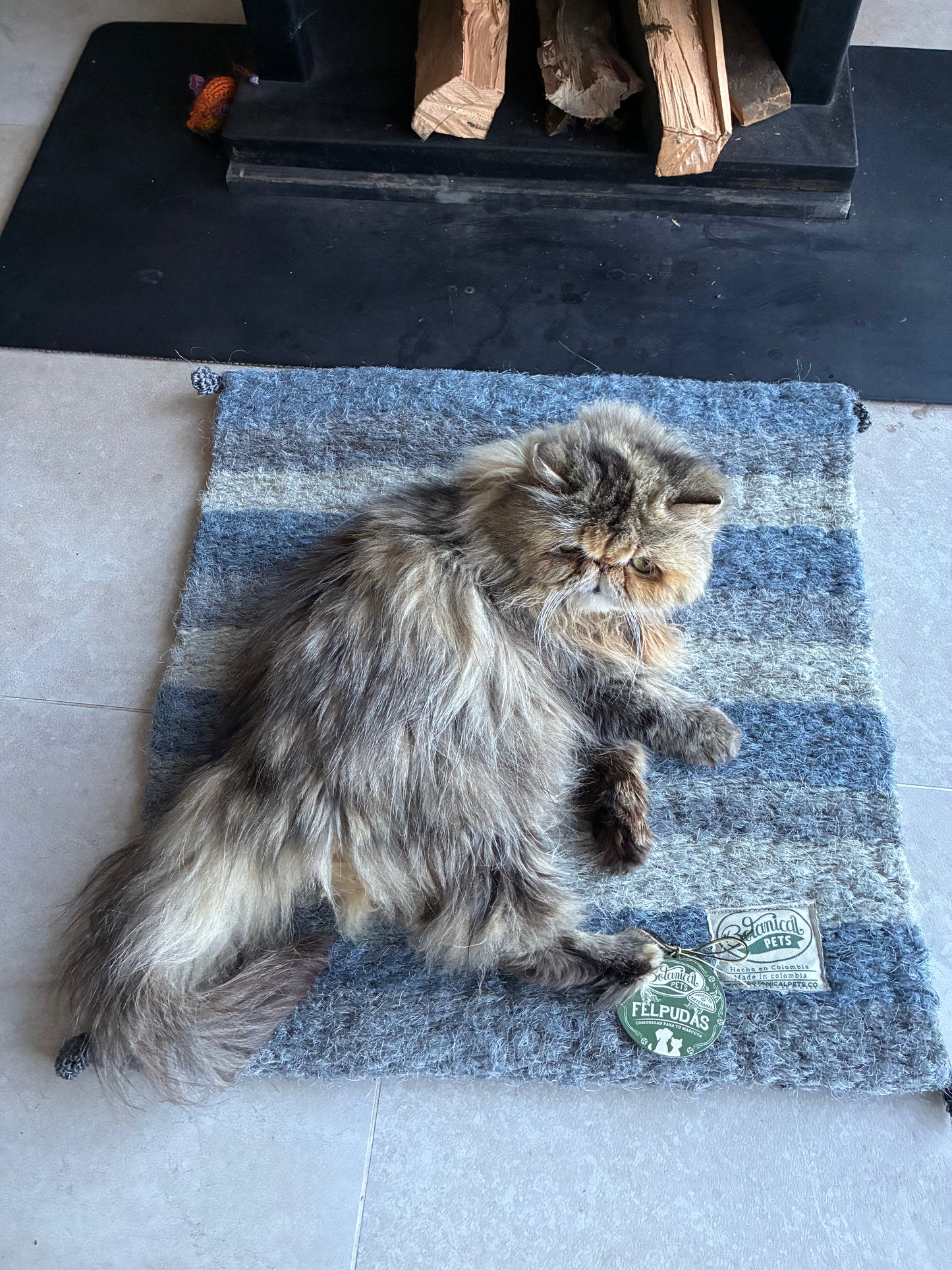 [NUEVA] Felpuda encantadora Nublada pequeña ☁️🩶🤍