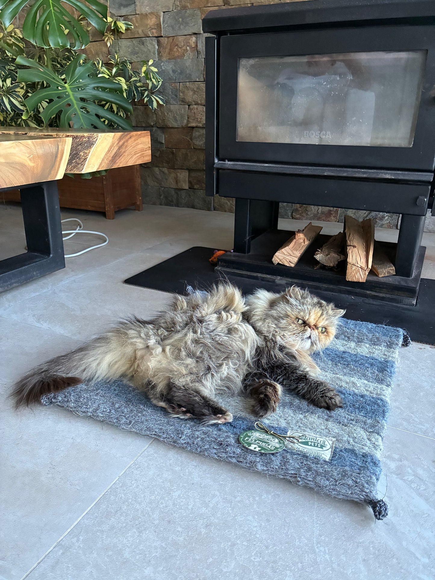 [NUEVA] Felpuda encantadora Nublada pequeña ☁️🩶🤍