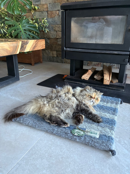 [NUEVA] Felpuda encantadora Nublada pequeña ☁️🩶🤍