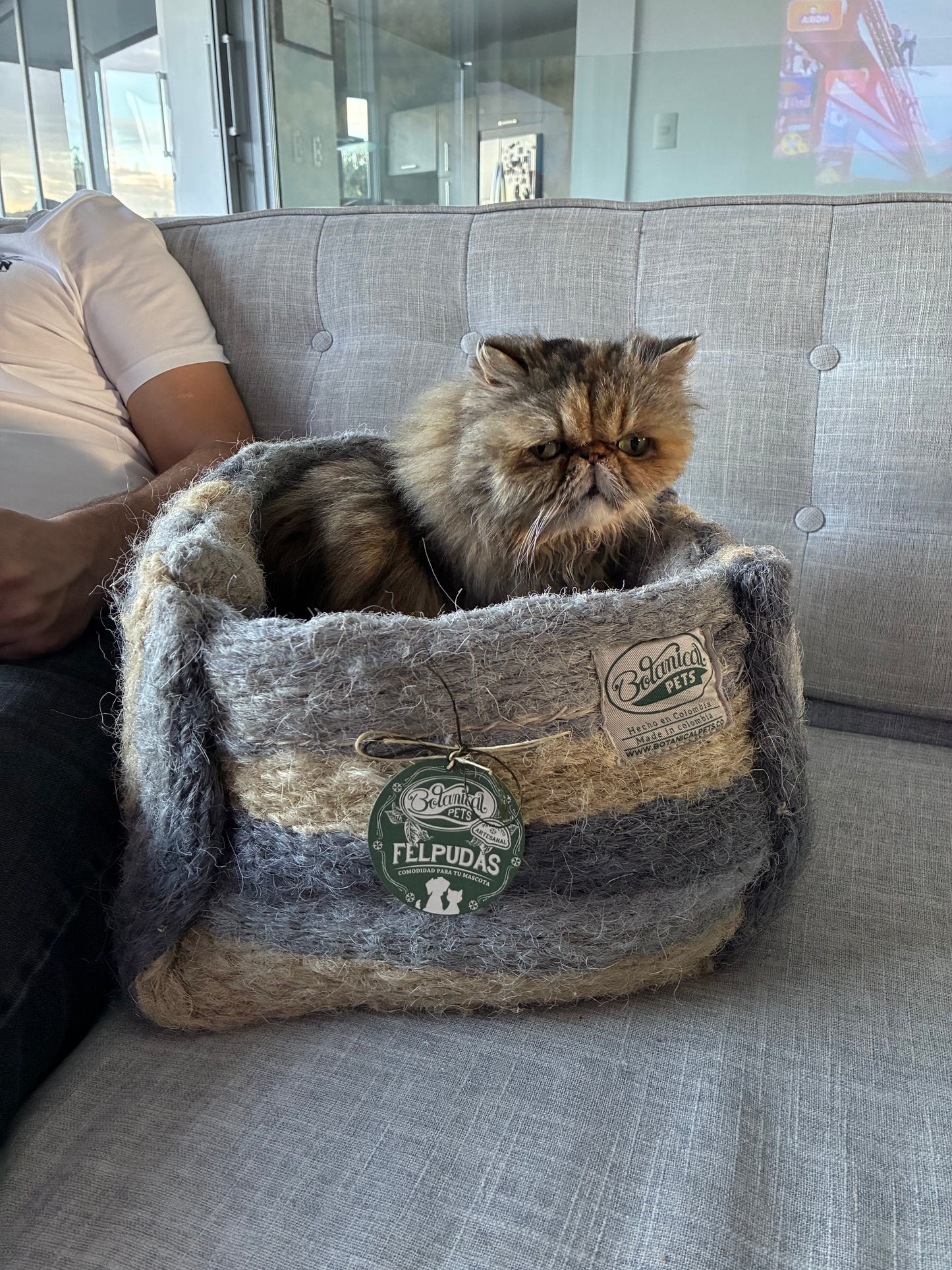 [NUEVA] Bolsita encantadora Gray 🩶