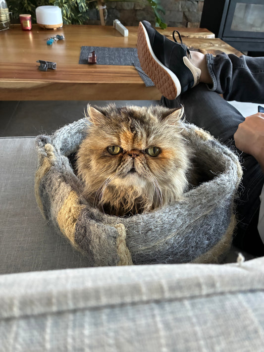 [NUEVA] Bolsita encantadora Gray 🩶