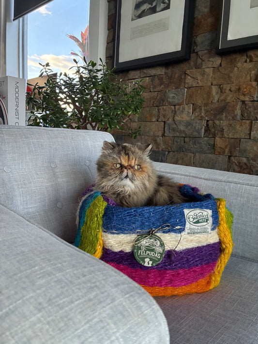 Bolsita encantadora Confetti 🎉