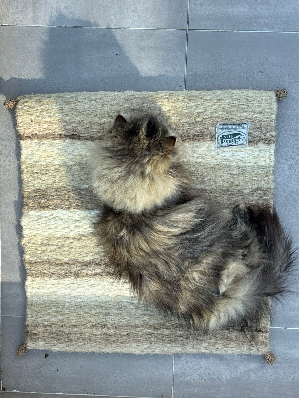 [NUEVA] Felpuda encantadora Latte pequeña 🤎