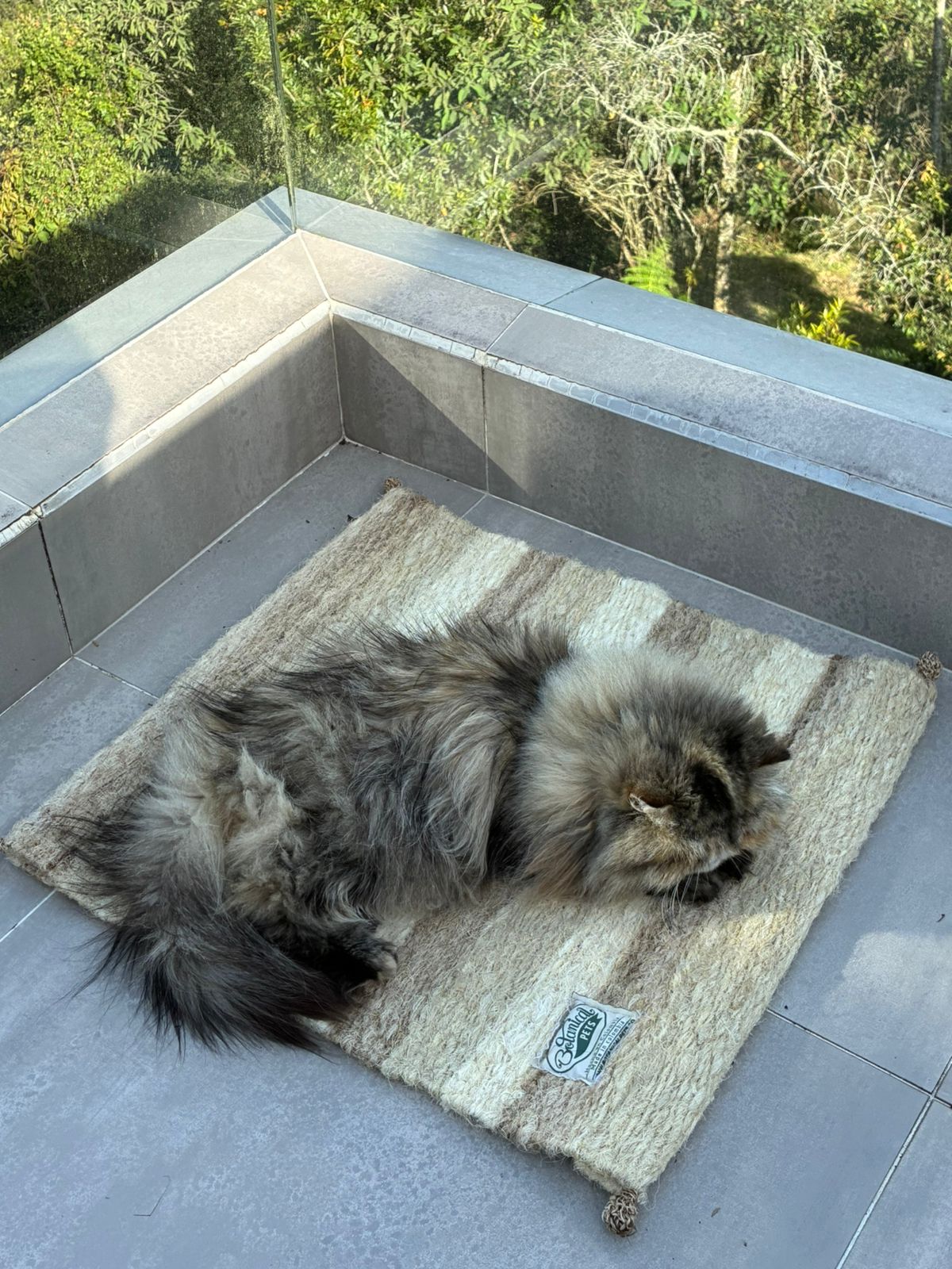 [NUEVA] Felpuda encantadora Latte pequeña 🤎