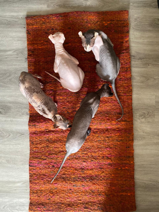 [Nueva] Felpuda encantadora antipelitos Roux - BIG [para varios mishis]